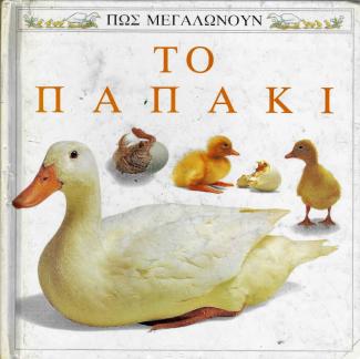 Το παπάκι